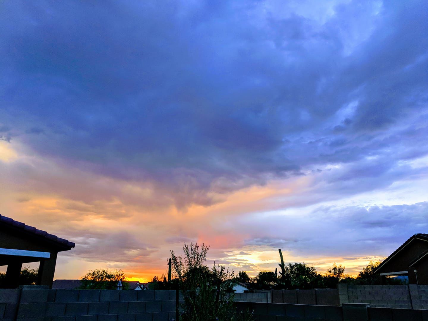 Reader monsoon photos